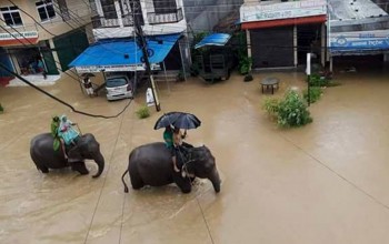 चितवनमा कयरखोलाले बगाएका दुई व्यक्तिको उद्धार, १७० परिवारलाई स्थानान्तरण